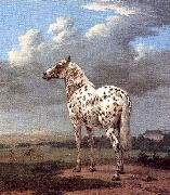 POTTER, Paulus, The Piebald Horse